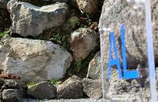 Recanto Terra Alta - Photo 74