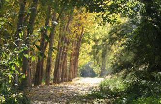 Casa Rural Aguascebas - Foto 11