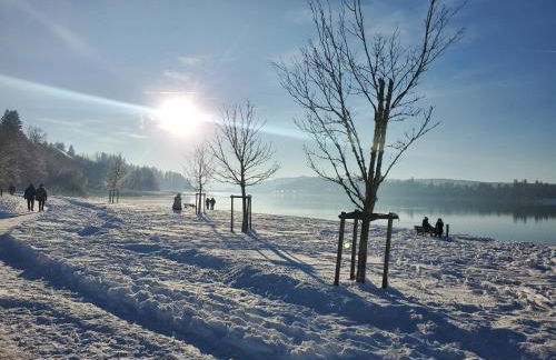 Lac Saint-Point au balcon - Foto 11