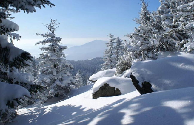 Ruhiges Ferienhaus in Drachselsried in Waldnahe - Foto 36