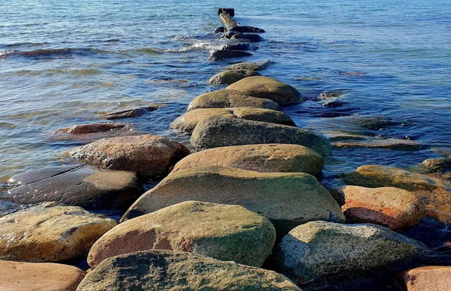 4 Person Holiday Home in Graested - Foto 36