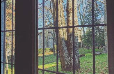 El Aserradero - Foto 47