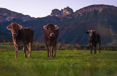 Babel´s Auszeit - Foto 79