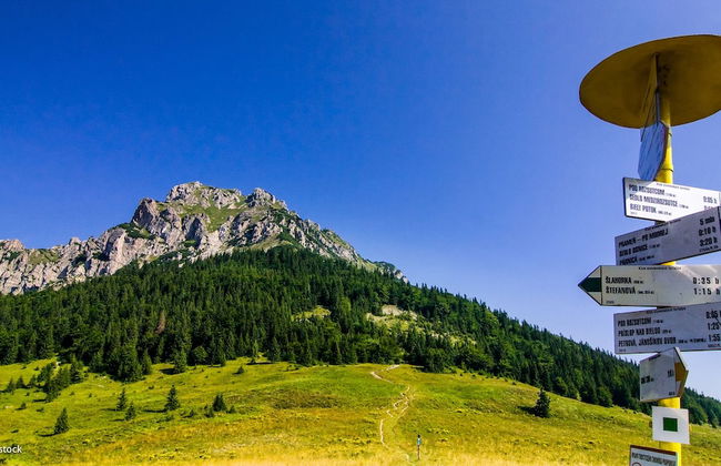 Mucha Apartments - Photo 31