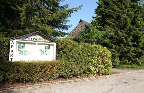 Landhaus Amselhof Hinterzarten - Foto 16