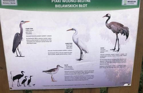 Młyńska Chata - drewniany, całoroczny dom w sosnowym lesie - Foto 25