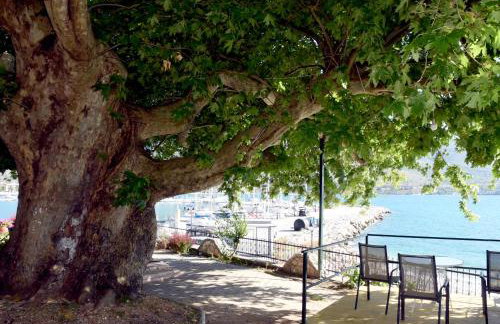 Villa Niki - Foto 22