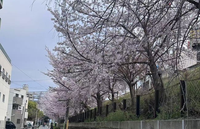Tabi Time Kishinosato Miyama - Photo 36
