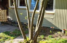 The Cottages - Pet Friendly - Photo 34