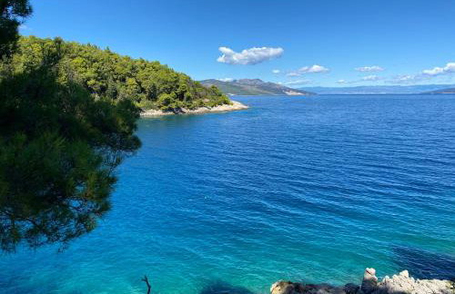 Villa Castelina - Foto 26