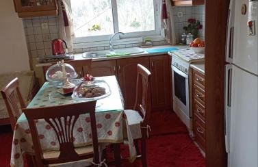 Dora's Home - Photo 11