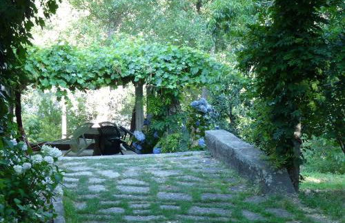 Los Prejones - Photo 25