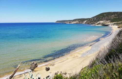 Sa Paxi Arbus - Foto 55