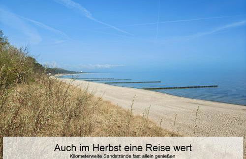 Ostsee-Urlaub-Zempin direkt am Küstenwald, nur wenige Minuten zum Strand, optimal für Paare mit 1 Hund bis 45 cm Schulterhöhe - Foto 28