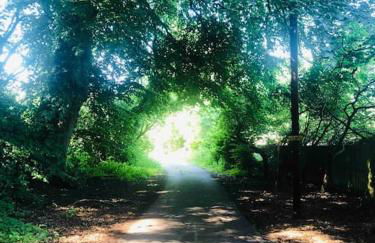 The Orchard Apartment, Clyde Valley - Foto 65