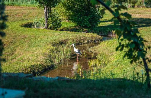 Villa Tara - Photo 60