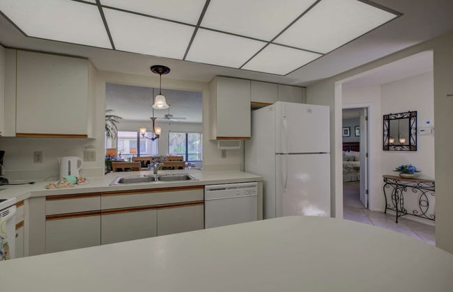 White Pine Court - Foto 8