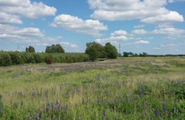 AgroKorytnica - Foto 14