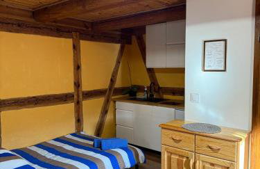 Agroturystyka Ranczo Gościszów - Foto 45