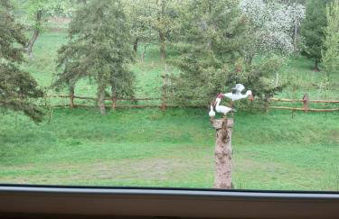 Chatka na Lipowych Wzgórzach - Foto 18