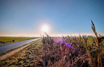 Ferienwohnung Dennis - Foto 13