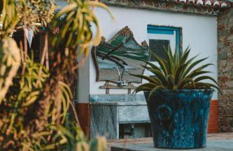 João Jungle - Foto 30