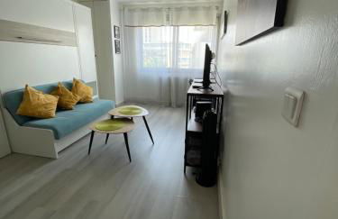 Studio-Champagne Lanson-Proche Hôpitaux-Universités-Parc Léo Lagrange - Foto 8