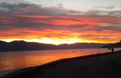 Lihas Studios - Photo 22