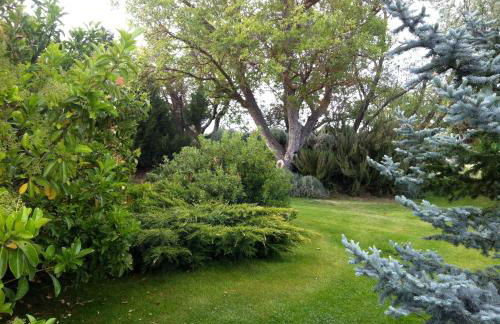 La Alberca - Foto 26