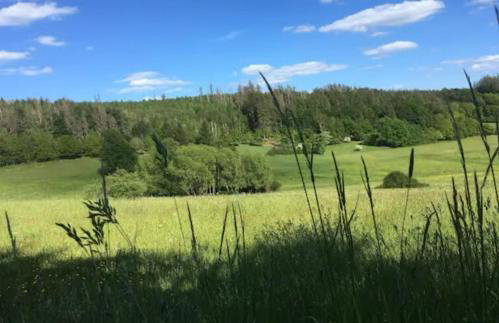 Bosnest Nr 176 - Photo 11