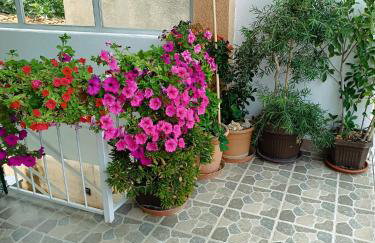 Apartments Turic - Foto 79