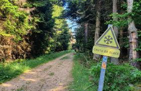 Les gîtes Estaou Treillo - Foto 43