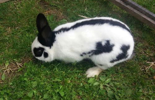 Ferienwohnung Winklerhof - Foto 12