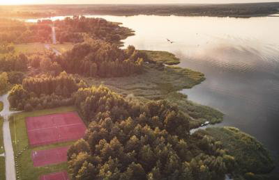 Miło las widzieć - Foto 61