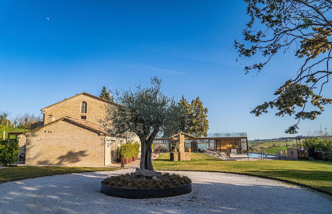 Terra di Gradara - Foto 67