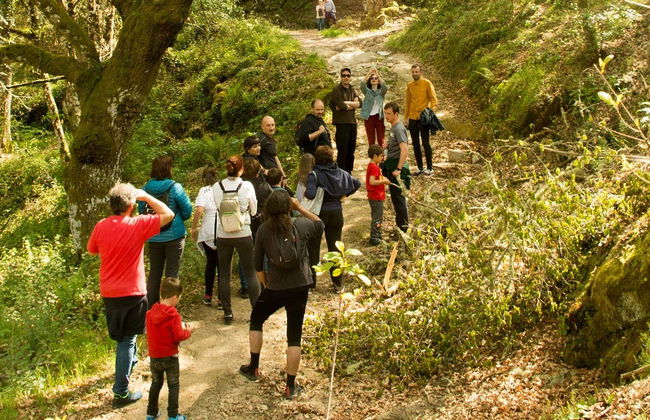 Tour in Allariz - Photo 1