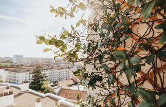 BonAltitude - T3Bis - Sérénité, vue sur Pyrénées - Foto 15