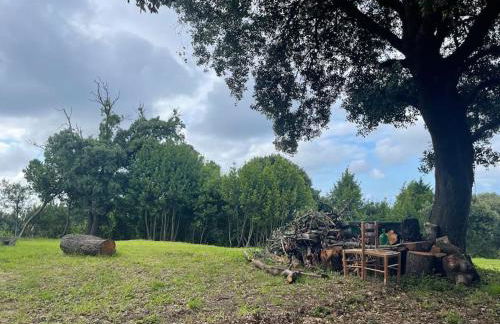 La casita del encinar - Foto 21