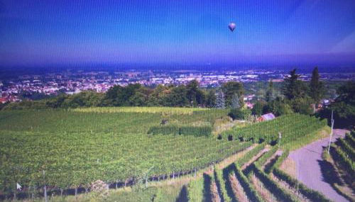 Traumwohnung - Foto 3