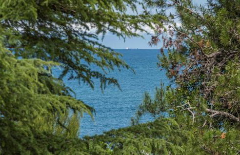 Apartment Raul in Dajla - Photo 2