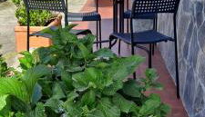 Casa Camilo - Foto 5