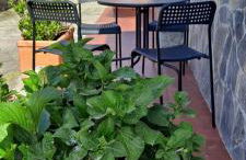 Casa Camilo - Foto 5