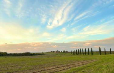 Tenuta Saracone - Foto 58