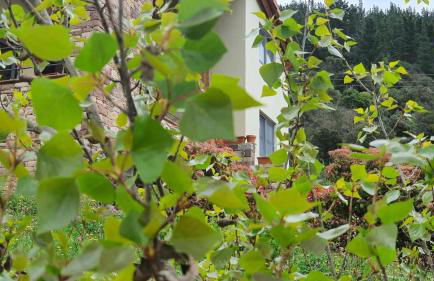 La Riega Del Peral - Foto 12