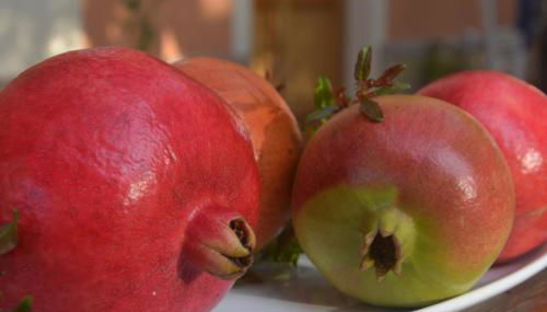 Agriturismo Torre Del Golfo - Foto 2