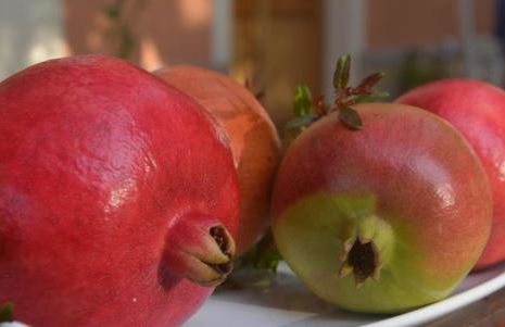 Agriturismo Torre Del Golfo - Foto 2