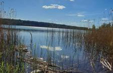 Japoński domek MITAKO - Foto 30