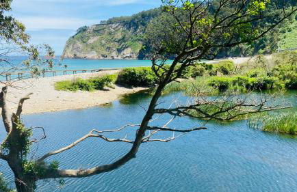 Mar y Montaña - "El Caleyo" - finca privada - Foto 55