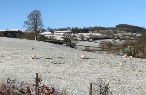 5f Stanley Lodge, Caer Beris, Builth Wells - No tradesman - Foto 29