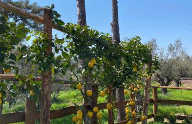 Casa Vacanza Capozzoli - Foto 4